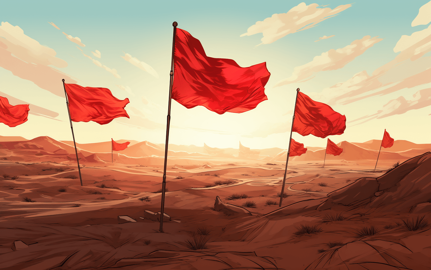 Spotting the Red Flags in E-Commerce: How Reliable Is Your IT Partner?